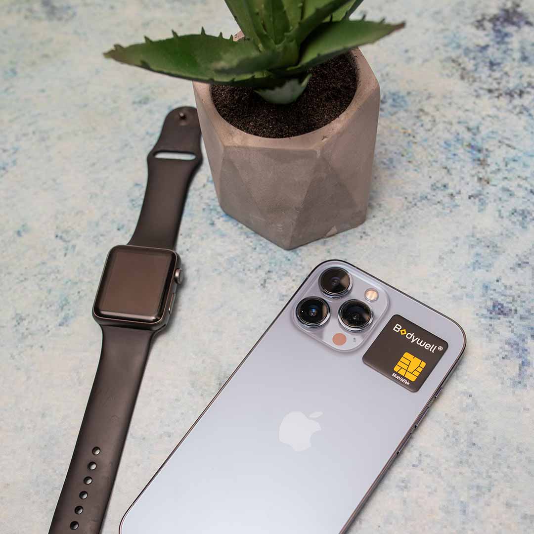 EMF protection for cell phone