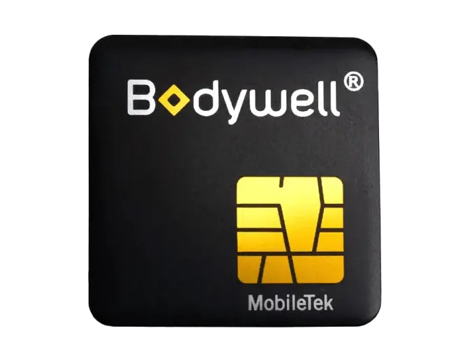 1pack BodyWell chip